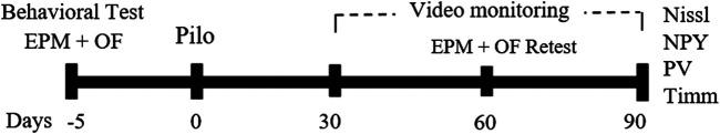 https://cdn.ncbi.nlm.nih.gov/pmc/blobs/a4c4/8132119/7fbcfc3a7089/fphar-12-640715-g001.jpg