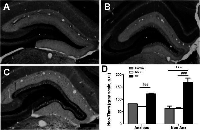 https://cdn.ncbi.nlm.nih.gov/pmc/blobs/a4c4/8132119/f1e0414af546/fphar-12-640715-g009.jpg