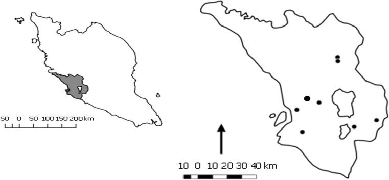 https://cdn.ncbi.nlm.nih.gov/pmc/blobs/a4c5/5691093/21eac341e4af/11250_2017_1387_Fig1_HTML.jpg
