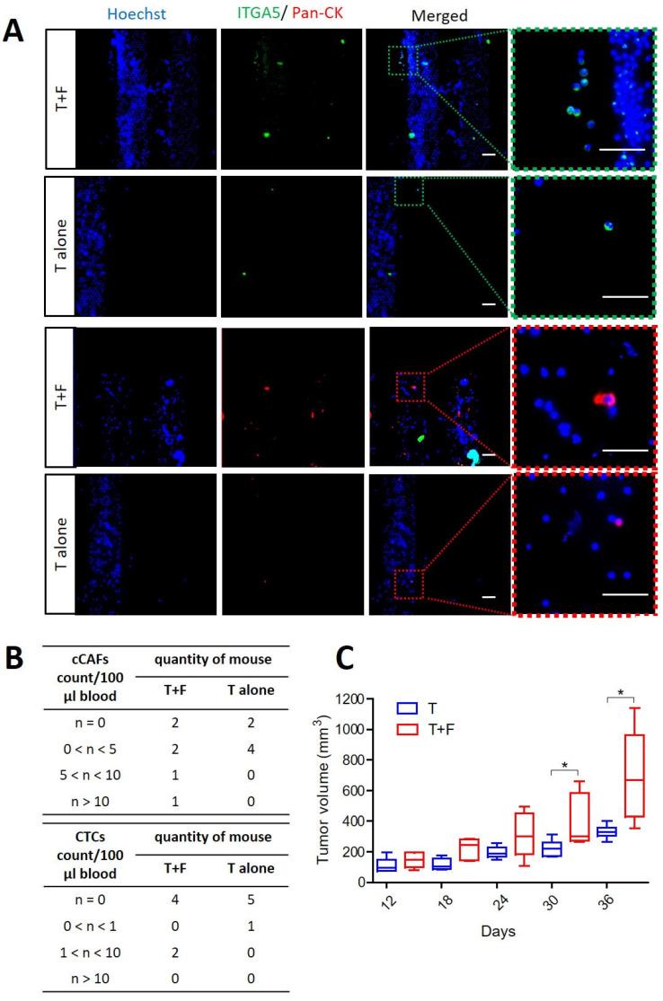 https://cdn.ncbi.nlm.nih.gov/pmc/blobs/a4c5/9954095/b4313a46b984/cancers-15-01127-g003.jpg