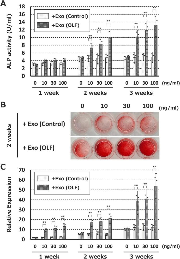 https://cdn.ncbi.nlm.nih.gov/pmc/blobs/a4c6/11911064/3ed798e3abf2/ziaf021f4.jpg