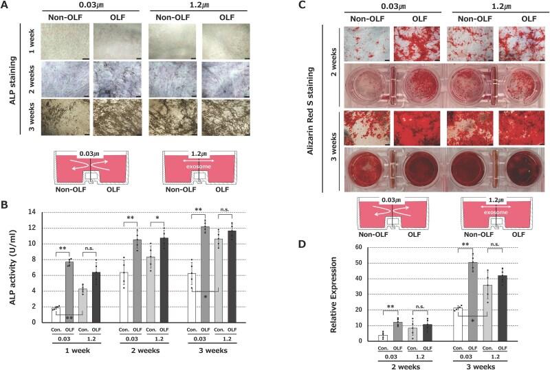 https://cdn.ncbi.nlm.nih.gov/pmc/blobs/a4c6/11911064/5b8febd30d2e/ziaf021f2.jpg