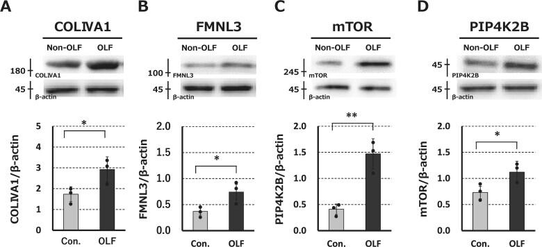 https://cdn.ncbi.nlm.nih.gov/pmc/blobs/a4c6/11911064/caee04d4217e/ziaf021f6.jpg
