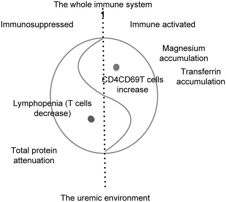 https://cdn.ncbi.nlm.nih.gov/pmc/blobs/a4c6/6014306/fb355ecd8333/IRNF_A_1349672_F0002_B.jpg