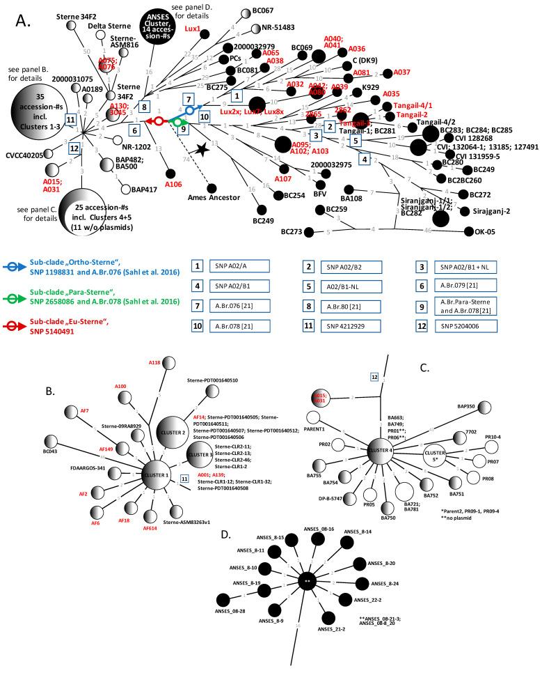 https://cdn.ncbi.nlm.nih.gov/pmc/blobs/a4ca/11768132/245194d1657a/pathogens-14-00083-g003.jpg