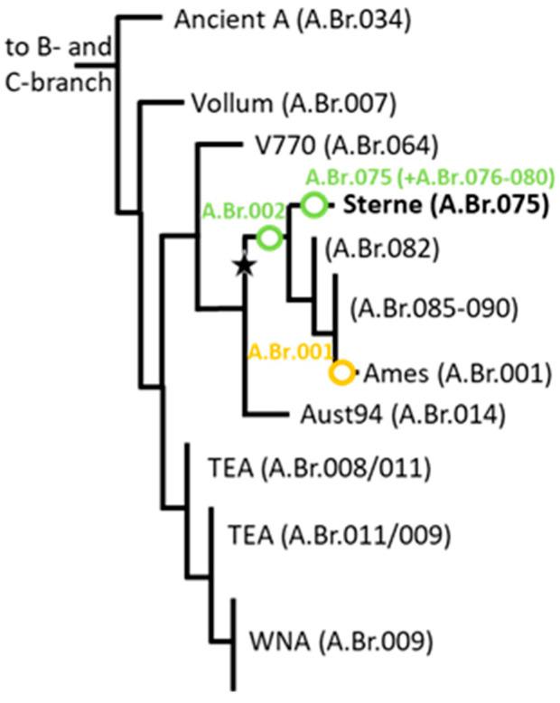 https://cdn.ncbi.nlm.nih.gov/pmc/blobs/a4ca/11768132/8026b966cf7f/pathogens-14-00083-g002.jpg