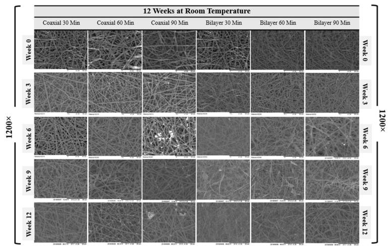 https://cdn.ncbi.nlm.nih.gov/pmc/blobs/a4ca/8584973/4f81c7b73b8c/materials-14-06295-g005.jpg