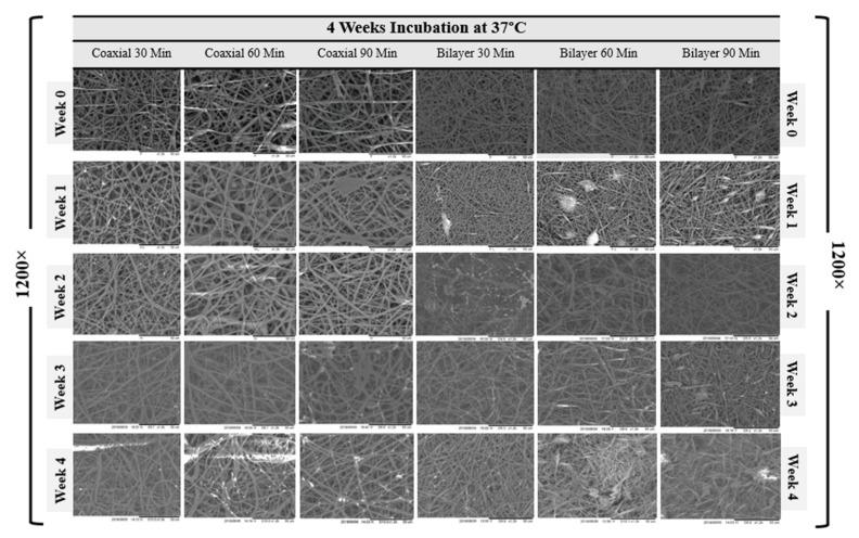 https://cdn.ncbi.nlm.nih.gov/pmc/blobs/a4ca/8584973/6d0526d4a947/materials-14-06295-g006.jpg
