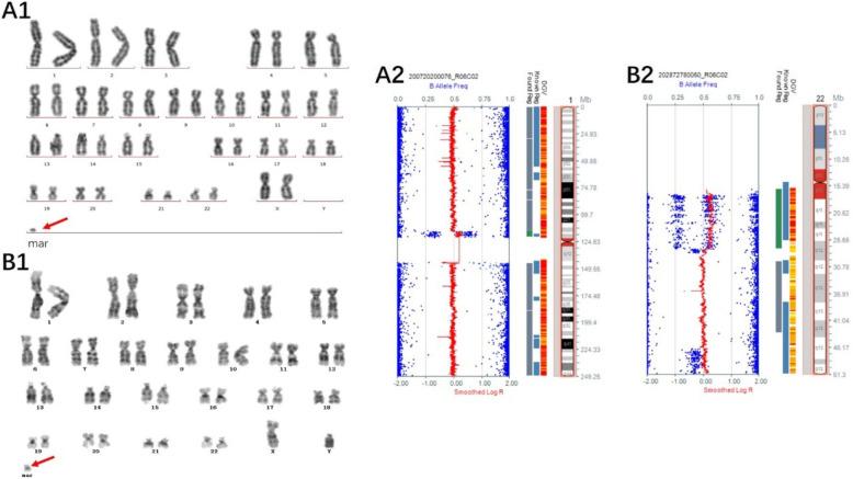 https://cdn.ncbi.nlm.nih.gov/pmc/blobs/a4ce/7251855/bdd5ae6c9a73/13039_2020_486_Fig4_HTML.jpg
