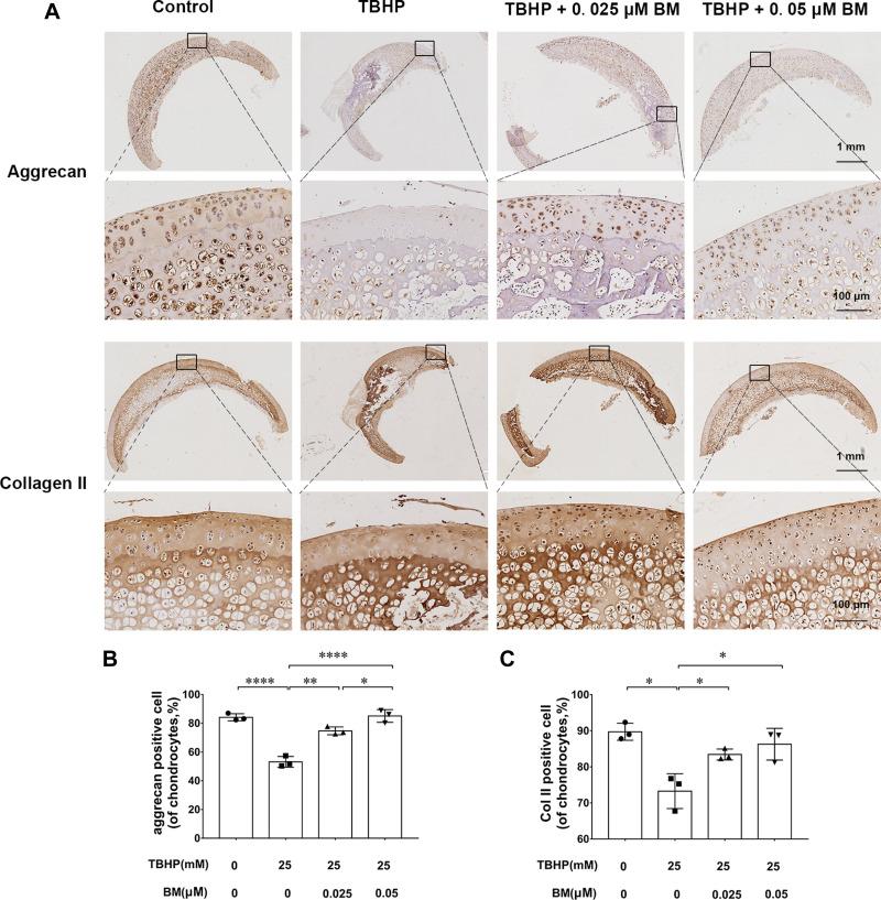 https://cdn.ncbi.nlm.nih.gov/pmc/blobs/a4ce/8428116/33ed10bbf5e3/DDDT-15-3735-g0005.jpg