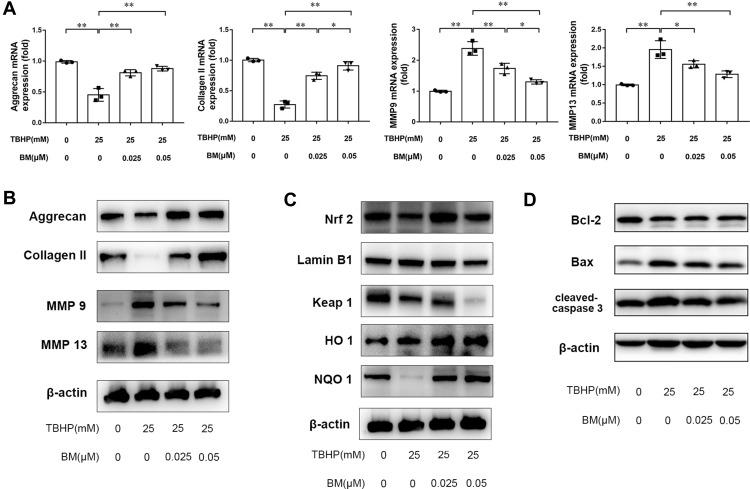 https://cdn.ncbi.nlm.nih.gov/pmc/blobs/a4ce/8428116/4df2f1acf0af/DDDT-15-3735-g0003.jpg