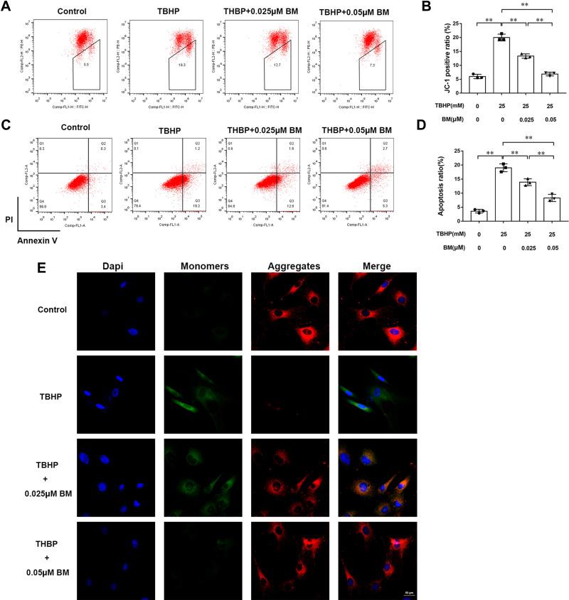 https://cdn.ncbi.nlm.nih.gov/pmc/blobs/a4ce/8428116/7d2f57212f34/DDDT-15-3735-g0002.jpg