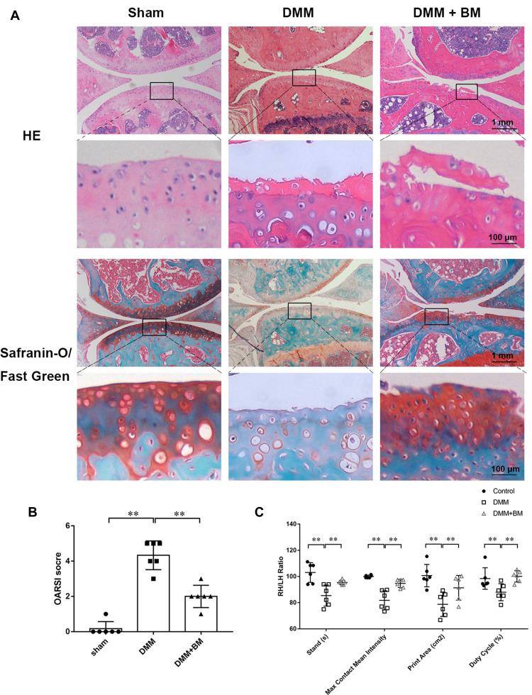 https://cdn.ncbi.nlm.nih.gov/pmc/blobs/a4ce/8428116/b1095f2dcbad/DDDT-15-3735-g0006.jpg