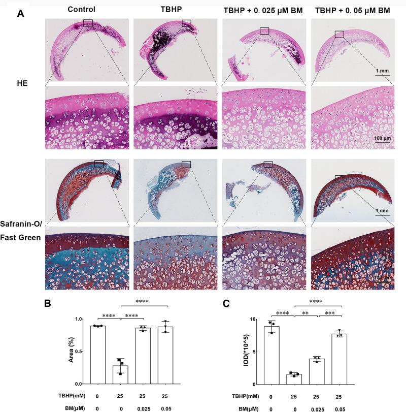 https://cdn.ncbi.nlm.nih.gov/pmc/blobs/a4ce/8428116/e645acf03cfc/DDDT-15-3735-g0004.jpg