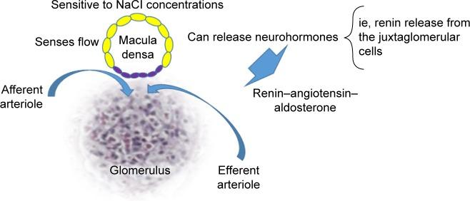 https://cdn.ncbi.nlm.nih.gov/pmc/blobs/a4cf/5422533/06c9d5c20ae3/tcrm-13-603Fig2.jpg