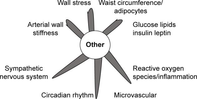 https://cdn.ncbi.nlm.nih.gov/pmc/blobs/a4cf/5422533/b35e848e9f5c/tcrm-13-603Fig4.jpg