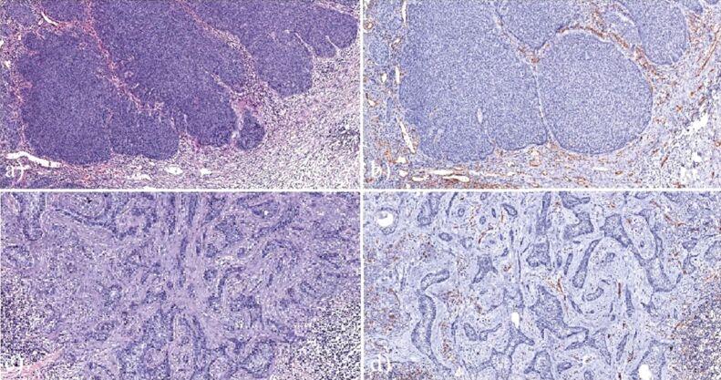 https://cdn.ncbi.nlm.nih.gov/pmc/blobs/a4d0/10257779/c5083c05fbd3/RJME-64-1-15-fig2.jpg