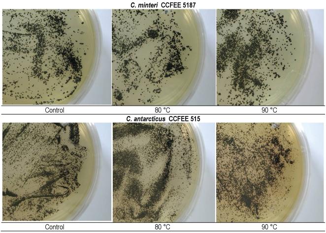 https://cdn.ncbi.nlm.nih.gov/pmc/blobs/a4d2/2610303/0314cf1c21c4/99fig10.jpg