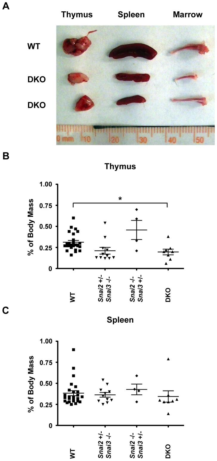 https://cdn.ncbi.nlm.nih.gov/pmc/blobs/a4d2/3713067/2a473b71499e/pone.0069216.g006.jpg