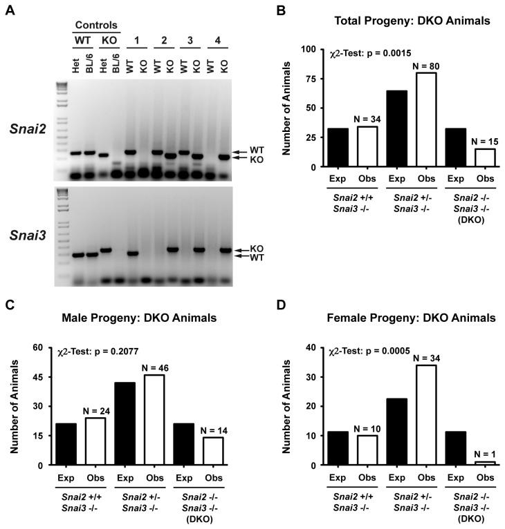 https://cdn.ncbi.nlm.nih.gov/pmc/blobs/a4d2/3713067/fc33090c4524/pone.0069216.g004.jpg
