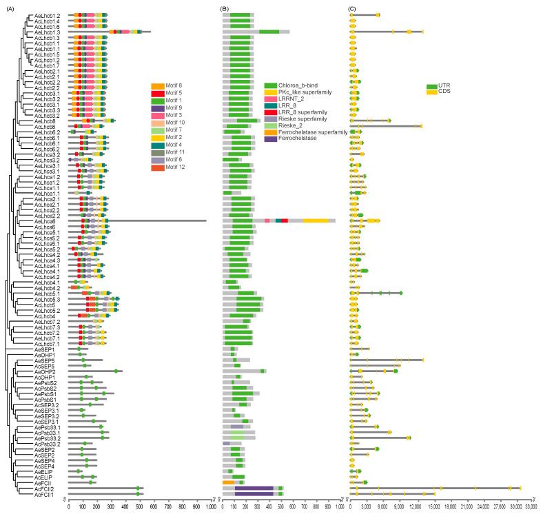 https://cdn.ncbi.nlm.nih.gov/pmc/blobs/a4d2/9224368/40f0286d30a0/ijms-23-06528-g002.jpg