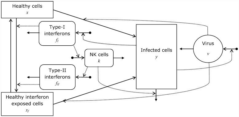 https://cdn.ncbi.nlm.nih.gov/pmc/blobs/a4d3/4915690/c16533103836/pone.0157816.g001.jpg
