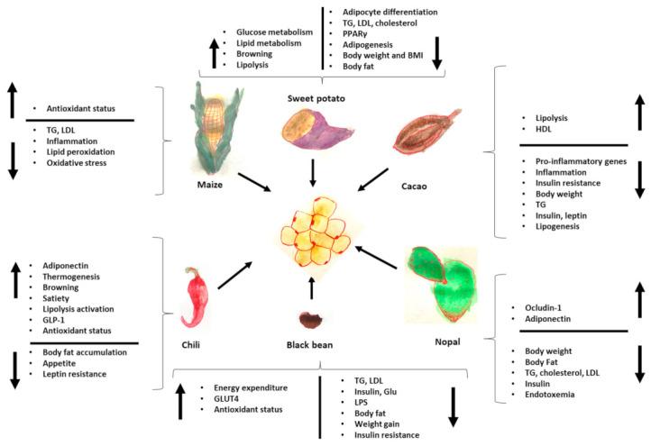 https://cdn.ncbi.nlm.nih.gov/pmc/blobs/a4d7/10672752/01ab3ce3b005/medicina-59-01907-g003.jpg