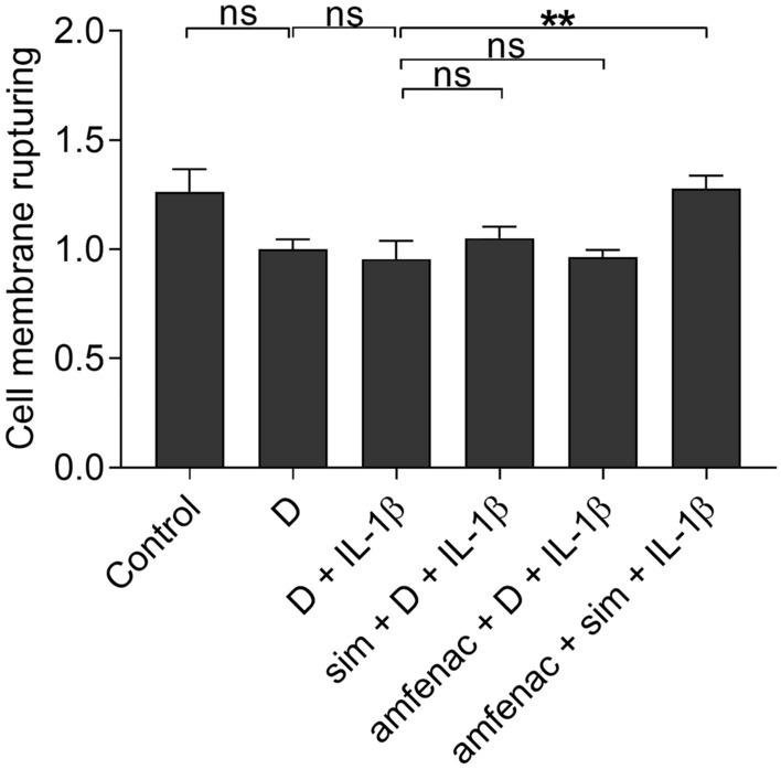 https://cdn.ncbi.nlm.nih.gov/pmc/blobs/a4d7/10965607/7be421e6967c/10792_2024_3067_Fig6_HTML.jpg