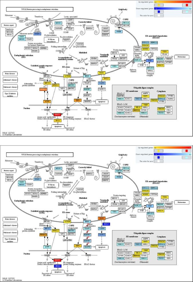 https://cdn.ncbi.nlm.nih.gov/pmc/blobs/a4d7/4179136/0775943dc9d2/molcell-37-9-672f6.jpg