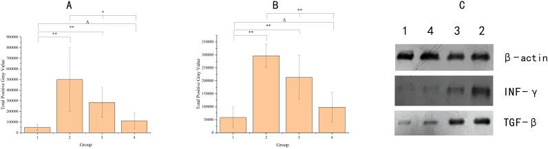 https://cdn.ncbi.nlm.nih.gov/pmc/blobs/a4d8/12197936/108187d9c71a/fimmu-16-1590219-g002.jpg