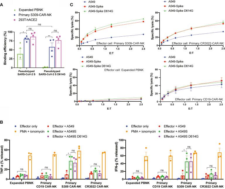 https://cdn.ncbi.nlm.nih.gov/pmc/blobs/a4d8/8343231/d93ab7c238d7/fimmu-12-652223-g006.jpg