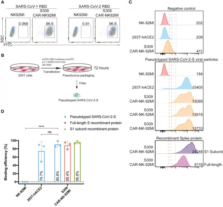 https://cdn.ncbi.nlm.nih.gov/pmc/blobs/a4d8/8343231/f514da059f2b/fimmu-12-652223-g002.jpg