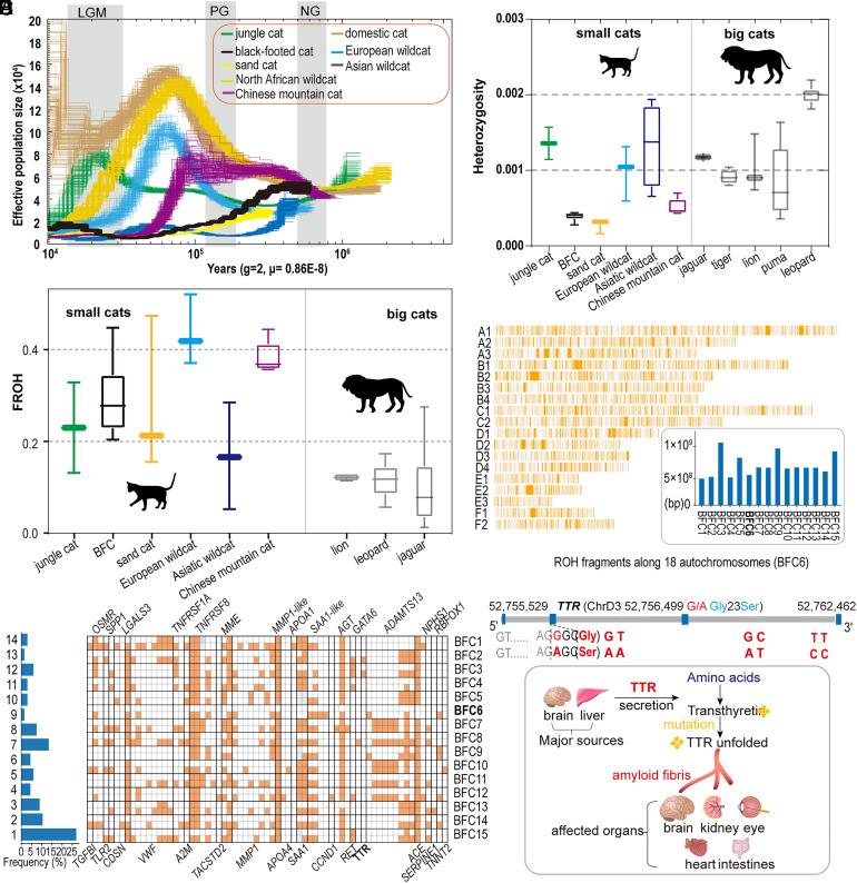 https://cdn.ncbi.nlm.nih.gov/pmc/blobs/a4d9/10786289/1f272b376585/pnas.2310763120fig04.jpg