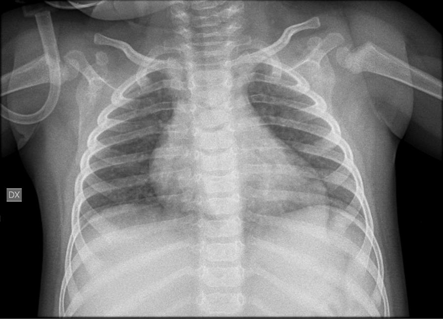 https://cdn.ncbi.nlm.nih.gov/pmc/blobs/a4da/7592524/762755eca1a1/13023_2020_1563_Fig1_HTML.jpg