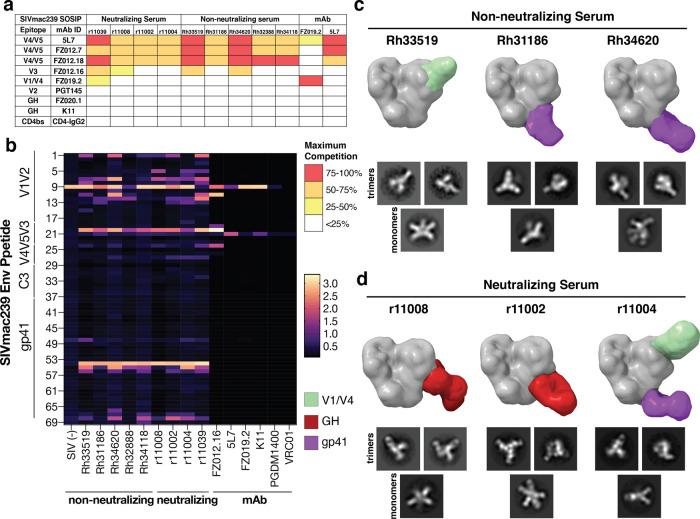 https://cdn.ncbi.nlm.nih.gov/pmc/blobs/a4da/9448735/8c7cd942d706/41467_2022_32783_Fig3_HTML.jpg