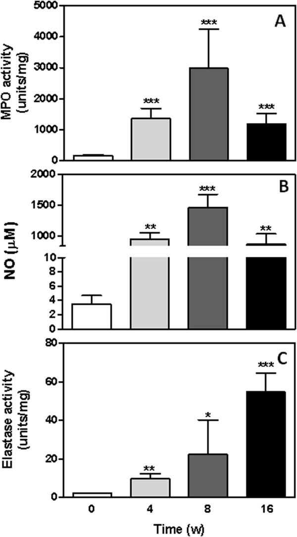 https://cdn.ncbi.nlm.nih.gov/pmc/blobs/a4dc/3542019/460da7992ac4/1476-9255-9-46-2.jpg