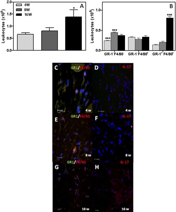 https://cdn.ncbi.nlm.nih.gov/pmc/blobs/a4dc/3542019/c462864d044b/1476-9255-9-46-4.jpg