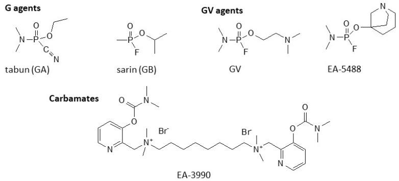 https://cdn.ncbi.nlm.nih.gov/pmc/blobs/a4dd/10218410/5cc77636dc74/ijms-24-08600-g001.jpg