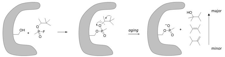 https://cdn.ncbi.nlm.nih.gov/pmc/blobs/a4dd/10218410/dc8759602ba6/ijms-24-08600-g007.jpg