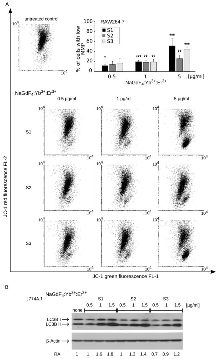 https://cdn.ncbi.nlm.nih.gov/pmc/blobs/a4de/6359000/4987294b5eb6/biomolecules-09-00014-g006.jpg