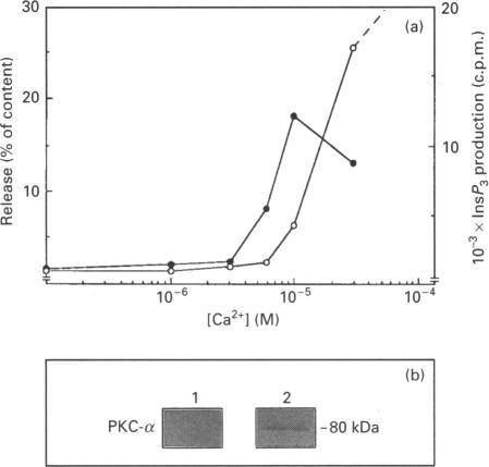 https://cdn.ncbi.nlm.nih.gov/pmc/blobs/a4df/1137995/8a83b9214962/biochemj00093-0148-a.jpg