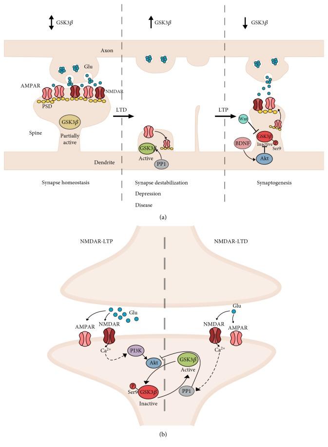 https://cdn.ncbi.nlm.nih.gov/pmc/blobs/a4e1/6525914/4671b07a0d8f/NP2019-4209475.002.jpg
