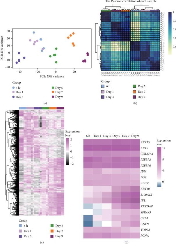 https://cdn.ncbi.nlm.nih.gov/pmc/blobs/a4e2/12274096/4009a29e6c83/SCI2025-5105796.002.jpg
