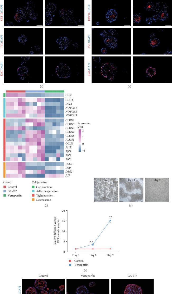 https://cdn.ncbi.nlm.nih.gov/pmc/blobs/a4e2/12274096/eeb544d11cfc/SCI2025-5105796.007.jpg