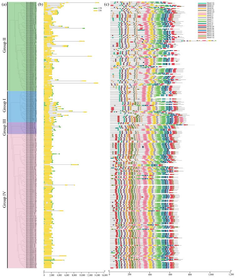 https://cdn.ncbi.nlm.nih.gov/pmc/blobs/a4e3/12196811/8d4e310da5c8/plants-14-01884-g002.jpg
