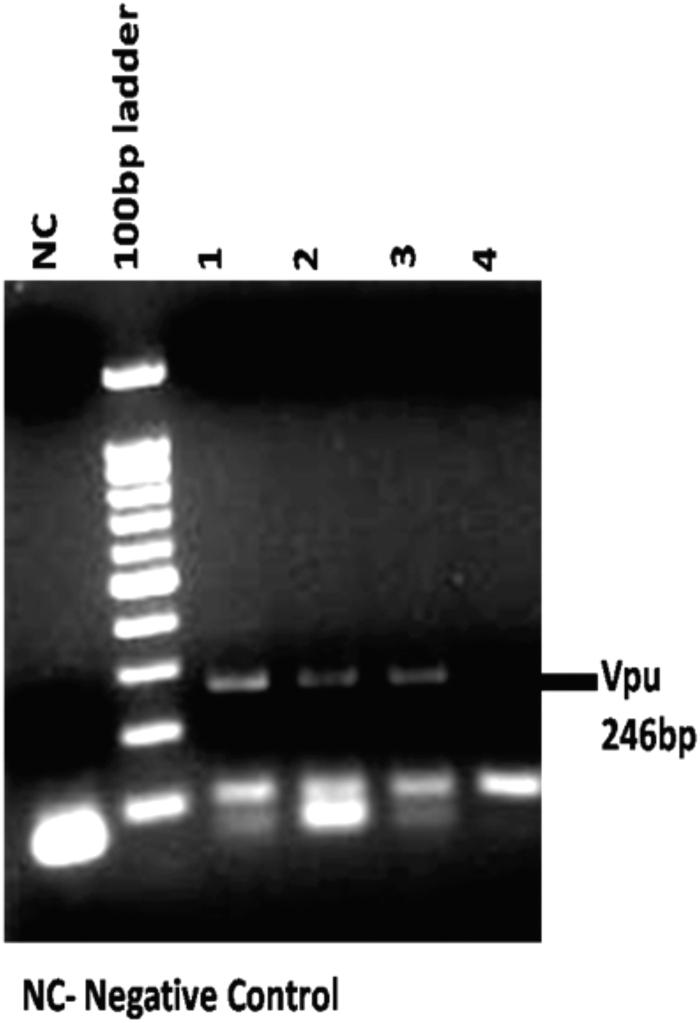 https://cdn.ncbi.nlm.nih.gov/pmc/blobs/a4e4/7590825/1c998c0fb737/biores.2020.0023_figure1.jpg
