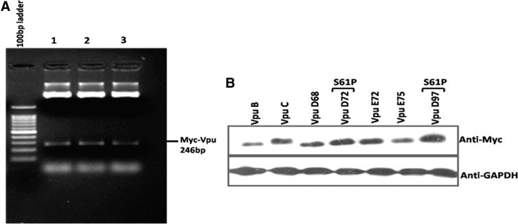 https://cdn.ncbi.nlm.nih.gov/pmc/blobs/a4e4/7590825/5f4801848fc9/biores.2020.0023_figure4.jpg