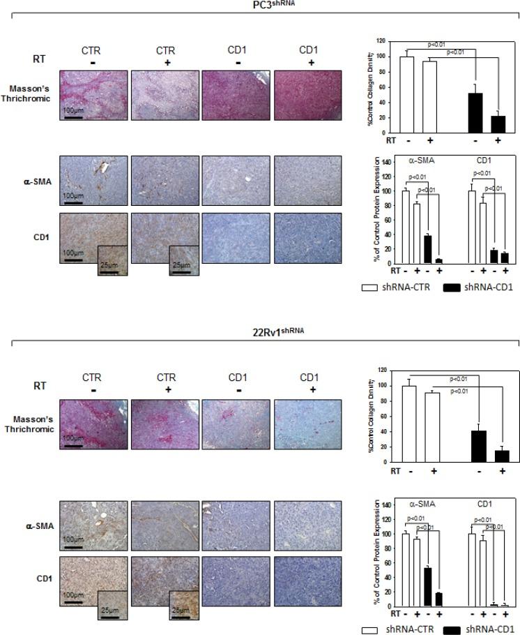 https://cdn.ncbi.nlm.nih.gov/pmc/blobs/a4e5/4868693/0e1cf134675e/oncotarget-07-5383-g005.jpg