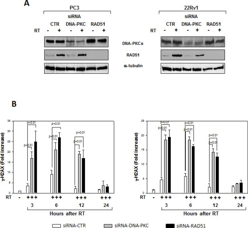https://cdn.ncbi.nlm.nih.gov/pmc/blobs/a4e5/4868693/511e8a4f5d1d/oncotarget-07-5383-g008.jpg