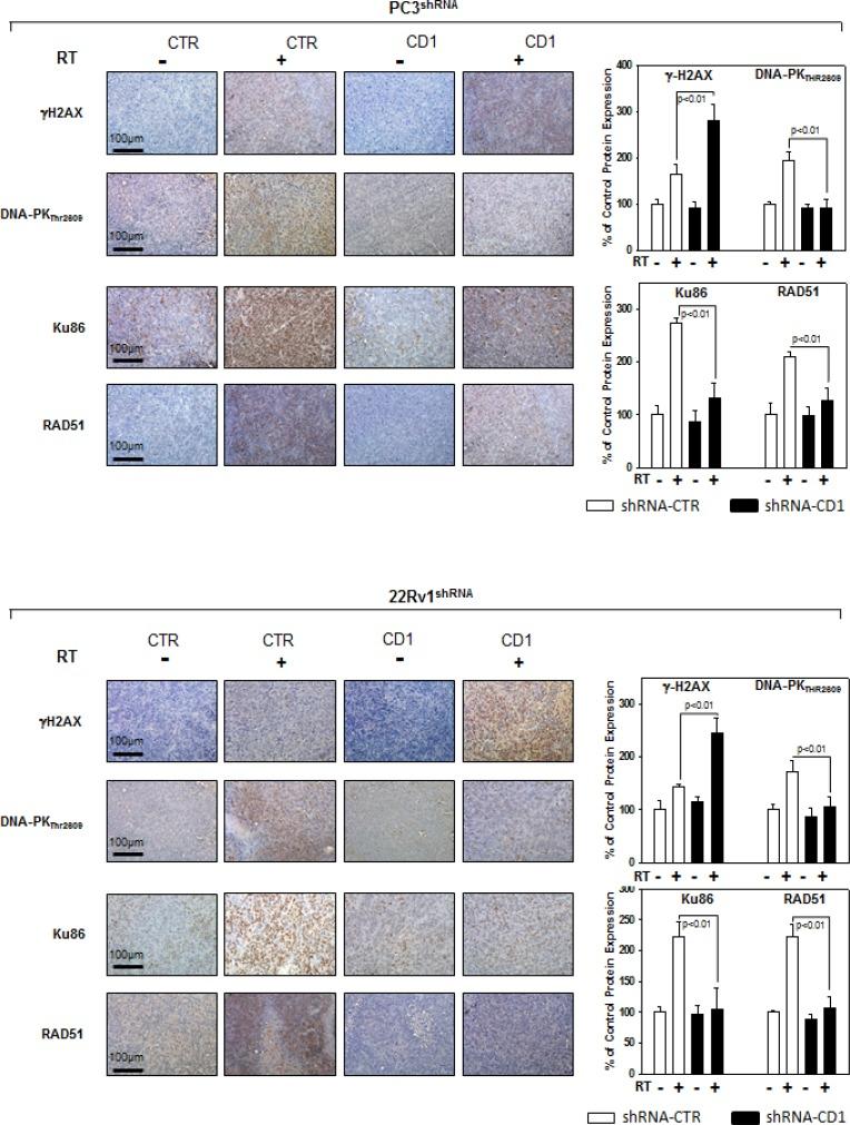 https://cdn.ncbi.nlm.nih.gov/pmc/blobs/a4e5/4868693/f8b260a61704/oncotarget-07-5383-g007.jpg